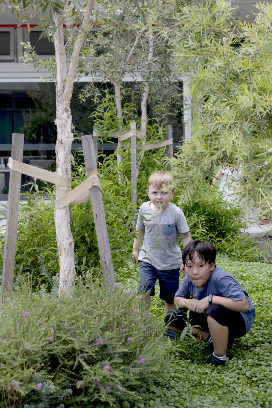 DesignInc Sydney - Ultimo Public School